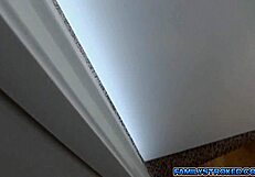 अंकल ने एल्सा और हॉली को मॉन्स्टर लंड से चोदा, फेशियल से खत्म