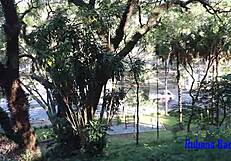 i saw a busty blonde giving her pussy to the public masturbator