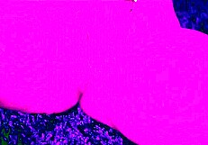 The most intense JOI on Xvideos - follow this masturbation tutorial