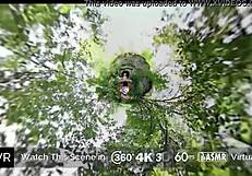 holivr covert picnic busty hot blonde fucked and jizzed outdoor