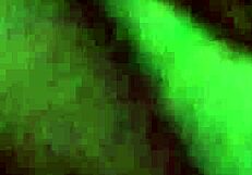 Married woman takes two loads inside her pussy