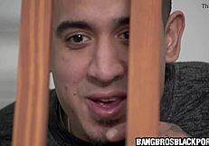 काली बेब को नए दोस्त के साथ योगा करते हुए जंगली मज़ा आया