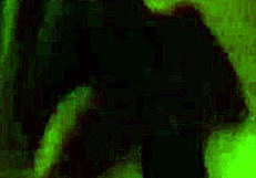 I, uh, watch my sexy girlfriend from pov with my friend, it's so hot.