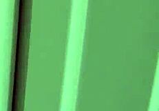 Alexa Grace Doggy Fucked By Stepbro