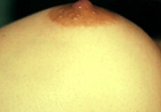 Teen Babe's Big Tits Sucked in Homemade Teacher Massage Close-Up