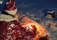 winter loneliness music. a story of solitude in the forest.