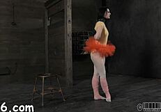 free hardcore sadomasochism porn