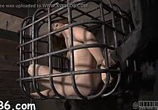 free hardcore sadomasochism porn