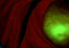 curious how this motel chick with a big ass got pounded hard?