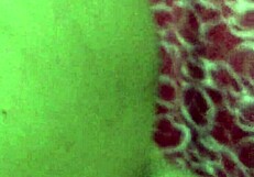 andrea gives colombian oral ball massage