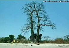 indian actress kitu gidwani appears topless in french movie black