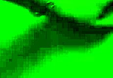 Wet and Horny Petite Hottie Sucking in Dirty POV Action