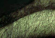 I’m so into Louivmane, this hairy gay bear, showing off his body in compilation.