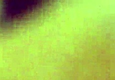 amateur movie 101 2197