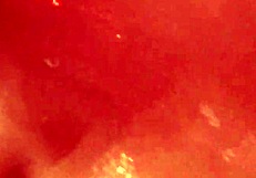 nikki benz soaps up her big tits and clit softly