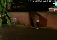 Beautiful milf in a homemade sex video