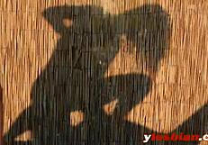 Busty Lesbos Ellena And Nina Licking Cunts Outdoors!