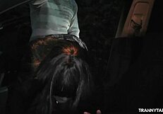 just chilling with t-girls at the car park and porn theater