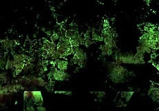 These vintage erotic drawings are just so cool