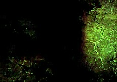 Vintage Erotic Art From Retro Cartoon Anime Hentai Collections