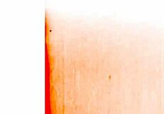 Vintage Erotic Drawings