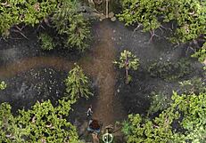 Complete gameplay of lust epidemic part 22 last episode.