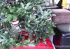 खूबसूरत विक्की वेट ने सांता का भारी कमशॉट लिया