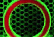 povmania - hot jennifer white