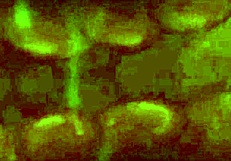 In this hentai compilation, characters experience zonk punches, cummies, cream pies, and pulsating cocks