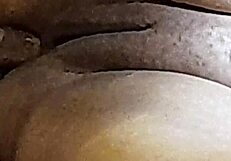 Hey, naughty brazilian couple pt 9 - naughty little 18+ antics with blowjob and sex