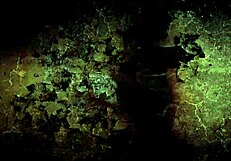 Vintage Erotic Cartoon Drawings