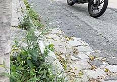 Ride That Monster Cock In A Wild 3some!