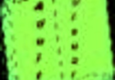 Exploring my new family dynamics