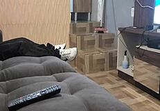 Curvy Employee Provokes Boss Erection With Short Dress Tease