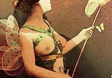 Vintage Animalation Collection