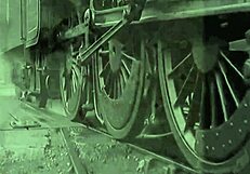 Vintage Animalation Collection