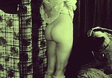 Vintage Animalation Collection