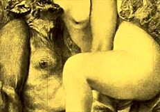 Vintage Animalation Collection