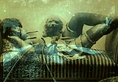 Vintage Animalation Collection