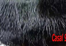 Hardcore AMATEUR FUCK with Wife in Super Homemade Brazilian Video