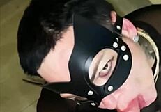 Playful Kitty Fucks Mouth And Ass In Homemade Anal Doggystyle Scene With Big Tits Milf