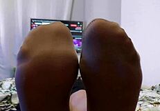 my sweaty feet in worn dirty pantyhose get licked close up