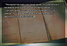 Let's Play Song of Saya Part 11