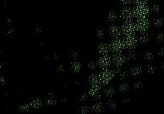 Painting our bodies got us insanely turned on outdoors.