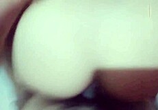 Una Morena Para La Colecci�n De Leo Dk Disfruten De Esta Zambita