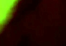 Seantheshovel Face Fucks Splashmountain With Big Tattooed Cock