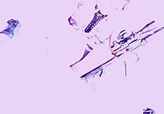 nina rivera superhot photoshoot