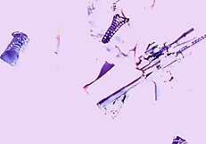 nina rivera superhot photoshoot