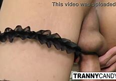 Sexy Brunette Trans Babe Masturbates Hard with Toys for Your Pleasure