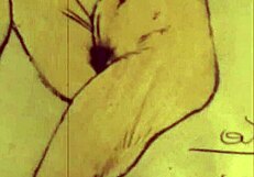 Vintage Erotic Drawings